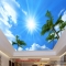 3D wallpaper for ceilings C061