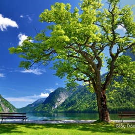 3d wallpaper s151719902