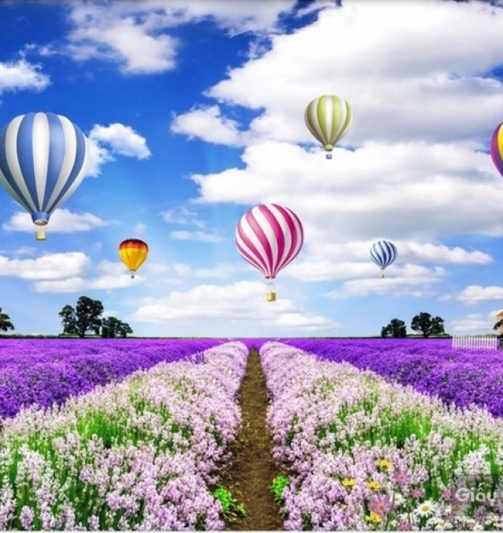 Beautiful 3d wallpaper 14249233