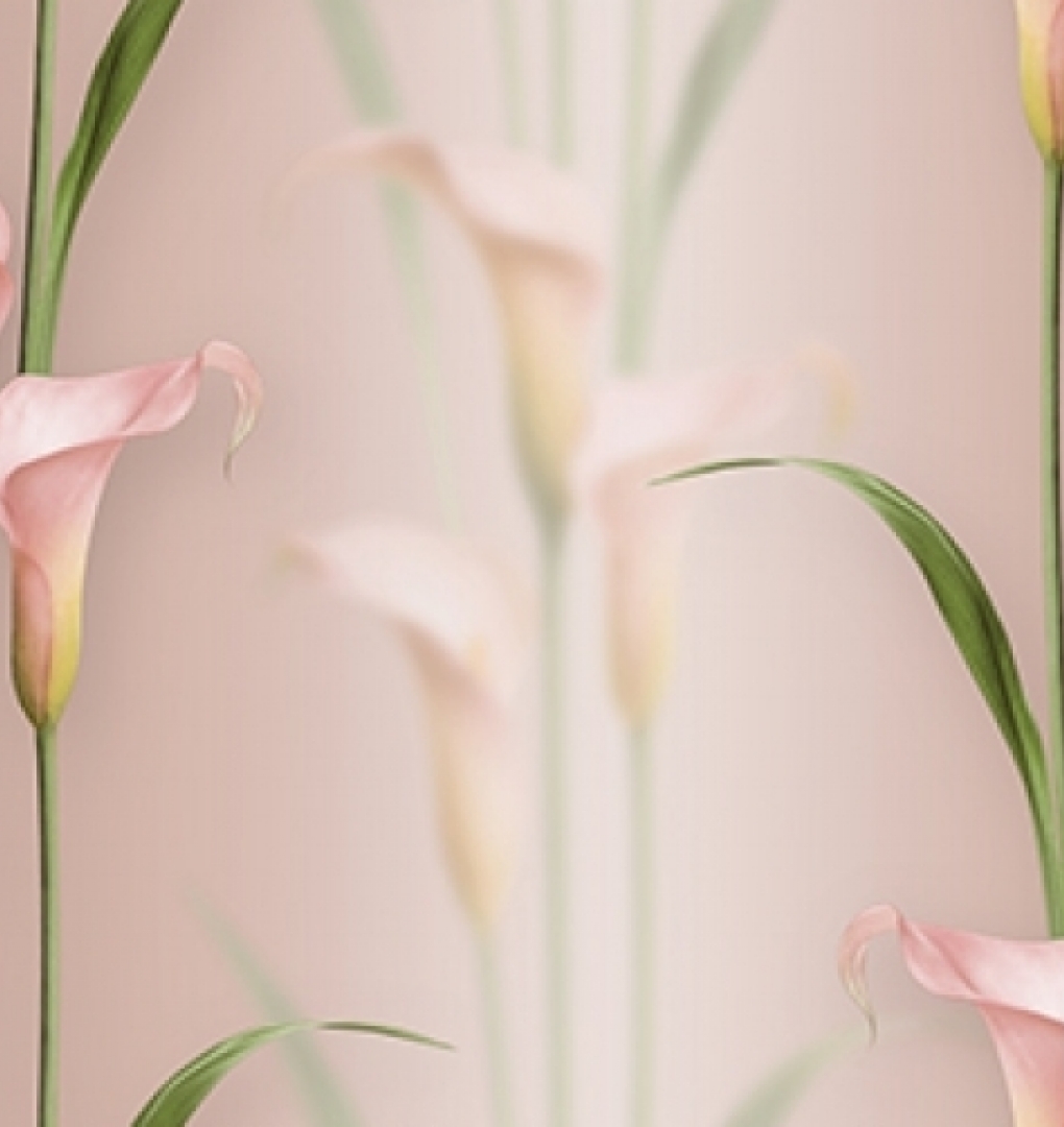 Korean Wallpaper 2572-6