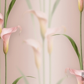 Korean Wallpaper 2572-6