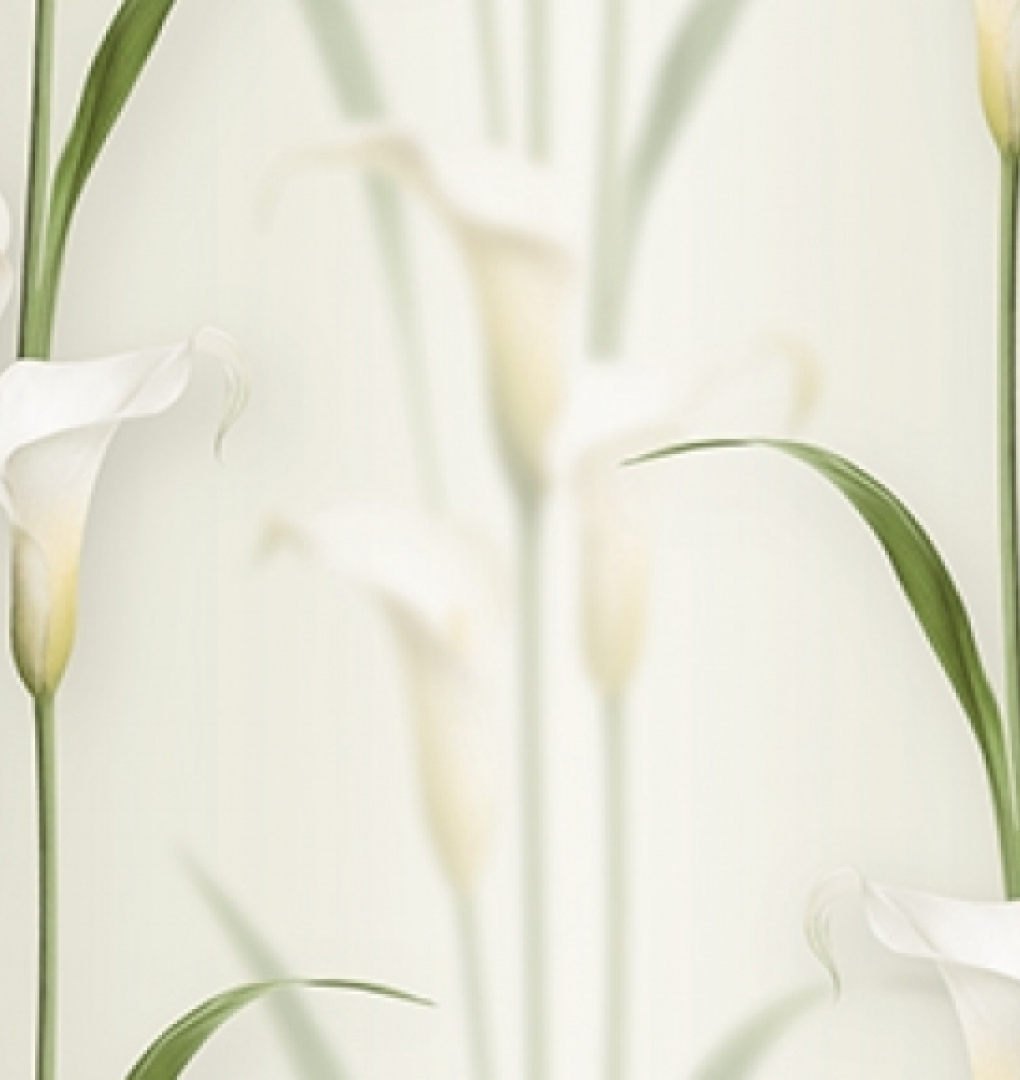 Korean Wallpaper 2572-1