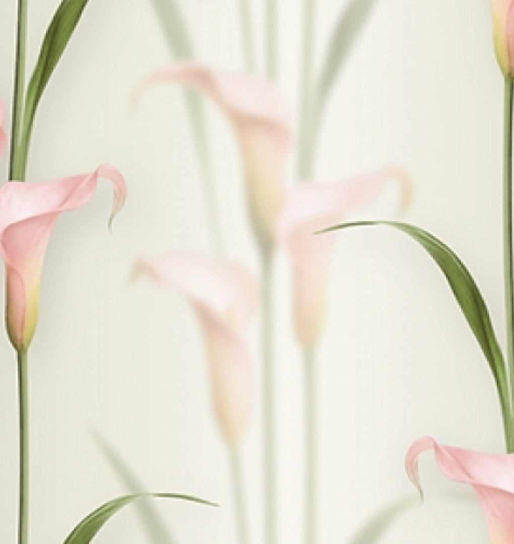 Korean Wallpaper 2572-2