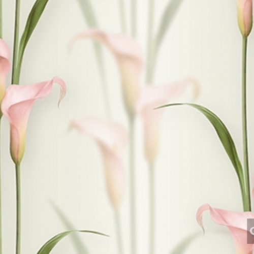 Korean Wallpaper 2572-2