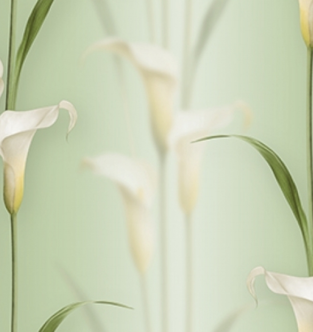 Korean Wallpaper 2572-3