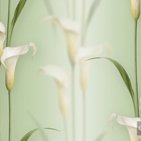 Korean Wallpaper 2572-3