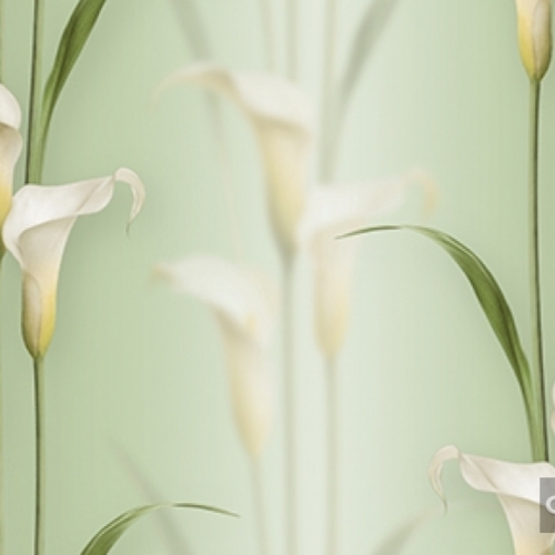 Korean Wallpaper 2572-3