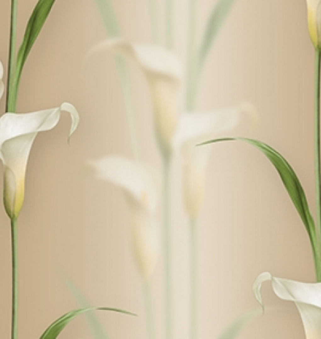 Korean Wallpaper 2572-4