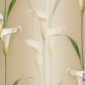 Korean Wallpaper 2572-4