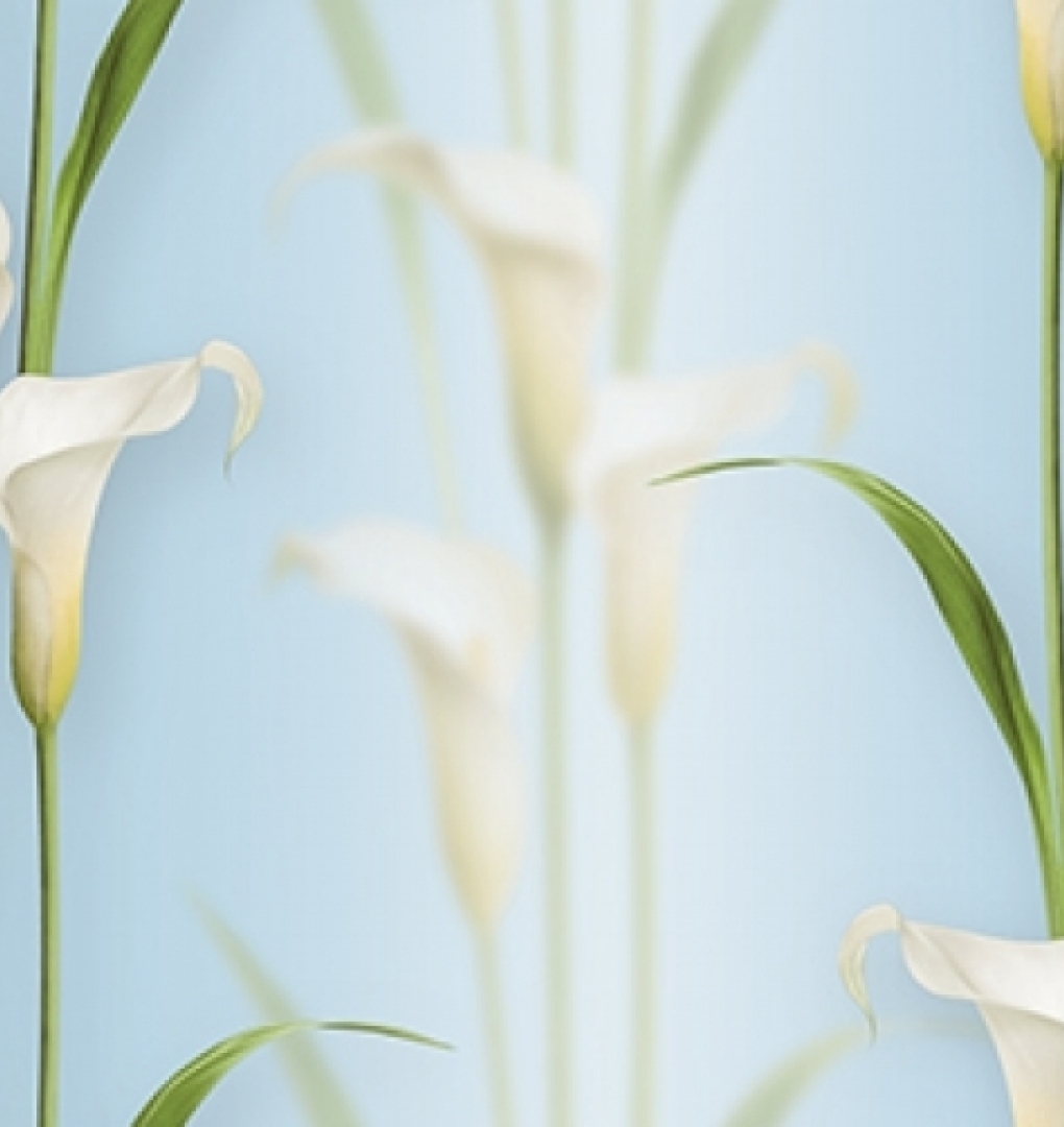 Korean Wallpaper 2572-5