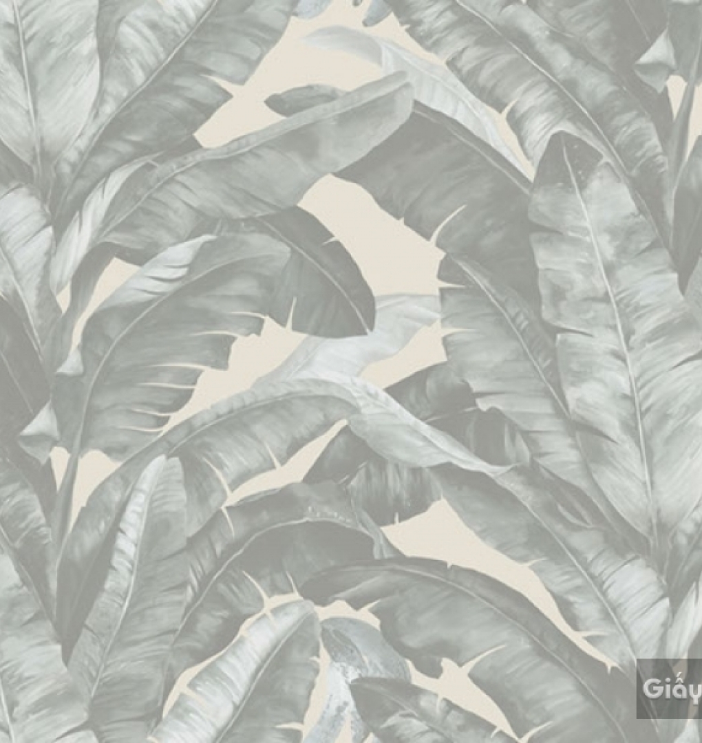 Korean wallpaper Darae 1815-2