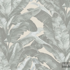 Korean wallpaper Darae 1815-2