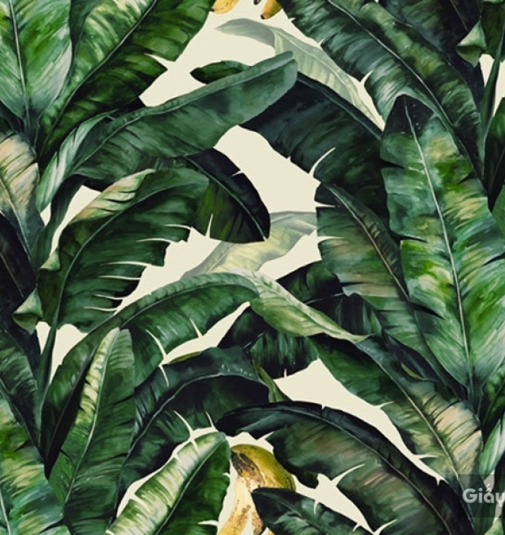 Korean wallpaper Darae 1815-3