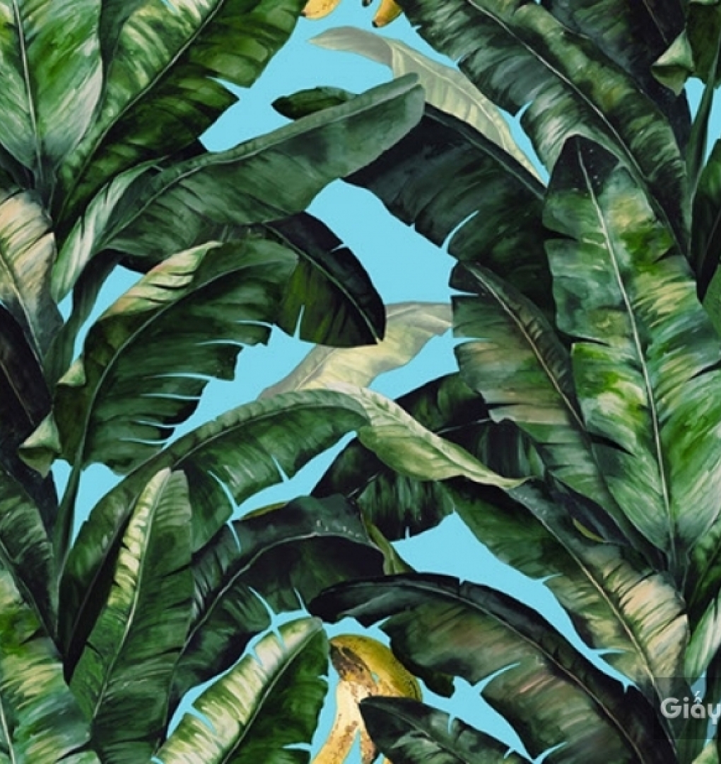 Korean wallpaper Darae 1815-4