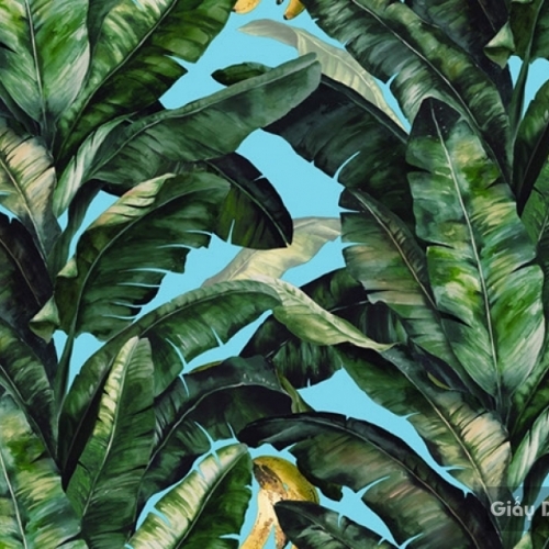 Korean wallpaper Darae 1815-4