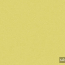 Korean wallpaper IKON2018 88216-6