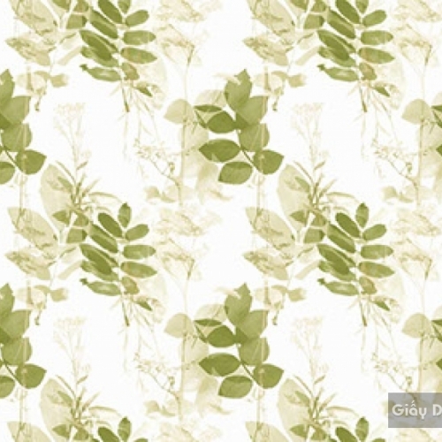 Korean wallpaper IKON2018 88251-2