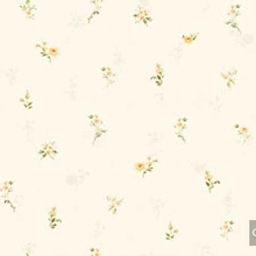 Wallpaper Korea Place III 2018 2633-2