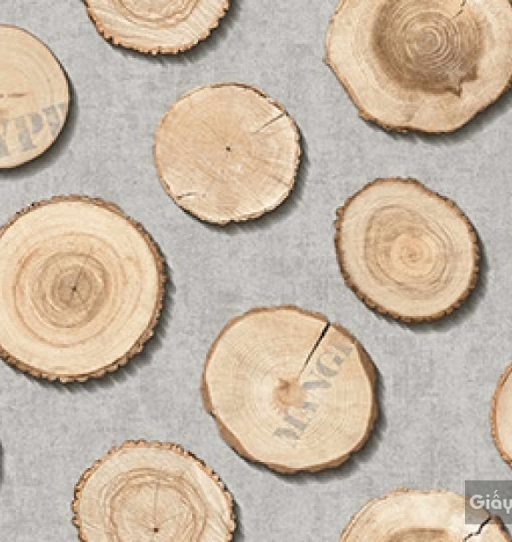 Wallpaper Korea Place III 2018 2642-2