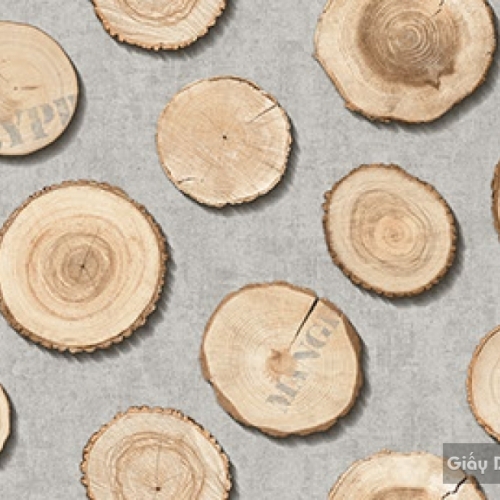 Wallpaper Korea Place III 2018 2642-2