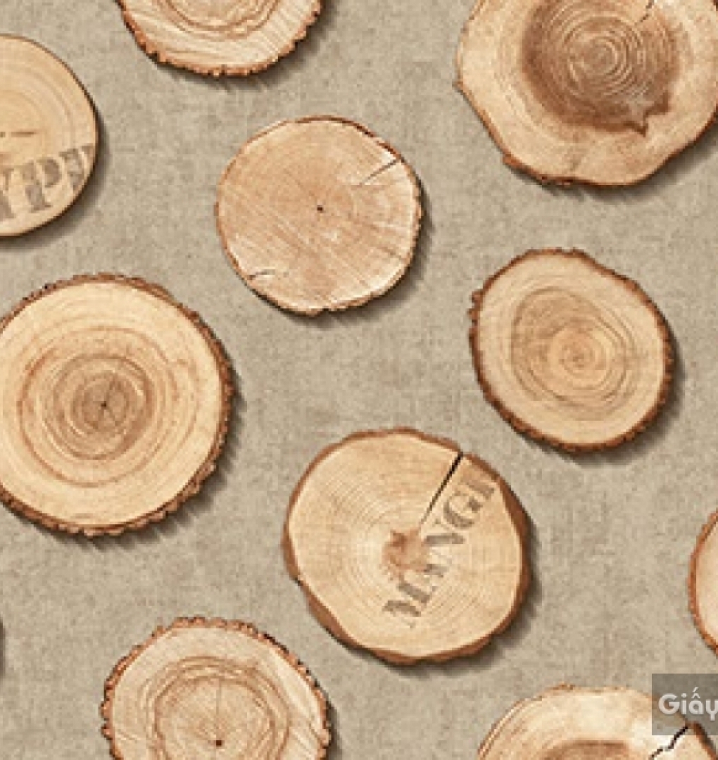 Wallpaper Korea Place III 2018 2642-3