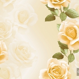 Korean wallpaper 2120-1