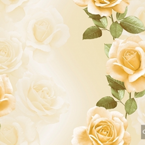 Korean wallpaper 2120-1