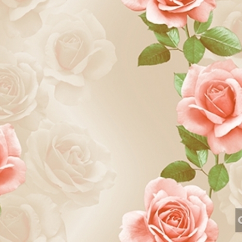 Korean wallpaper 2120-2