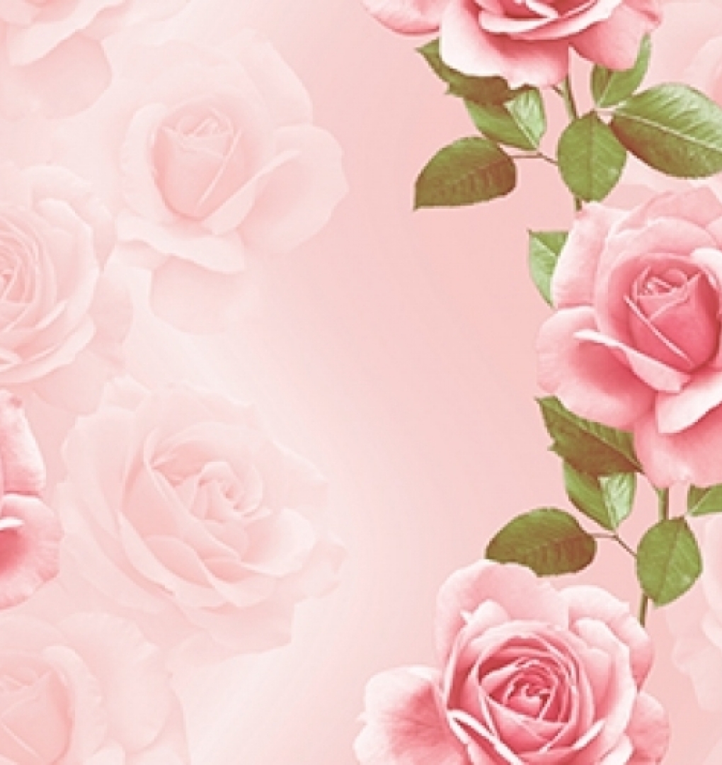 Korean wallpaper 2120-3