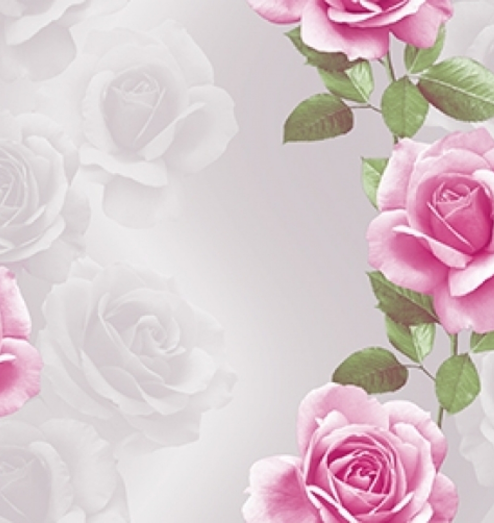 Korean wallpaper 2120-4