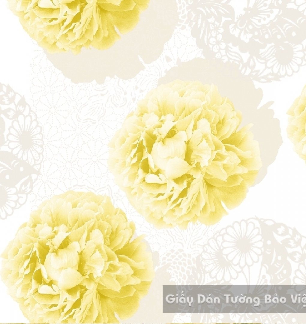 Korean Wallpaper 40025-2