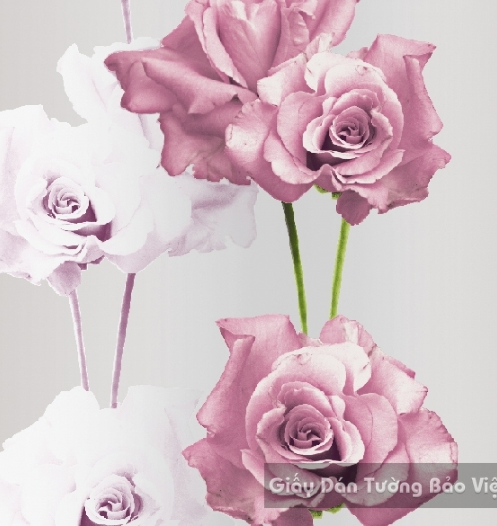 Korean Wallpaper 40031-1