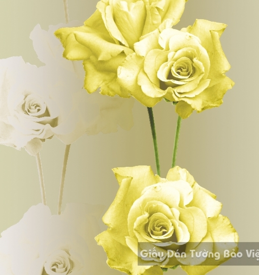 Korean Wallpaper 40031-2