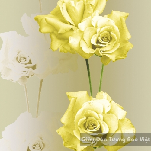 Korean Wallpaper 40031-2