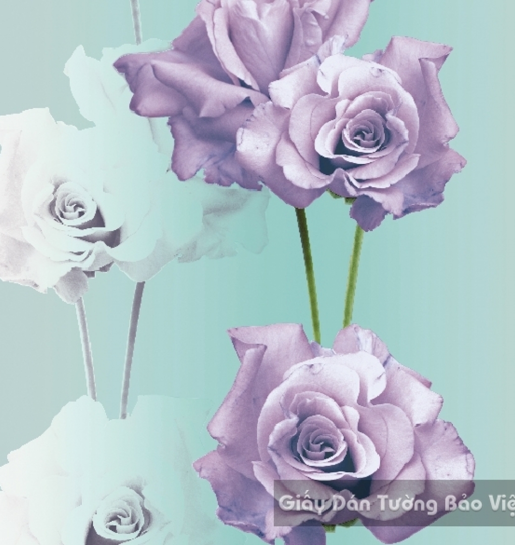 Korean Wallpaper 40031-3