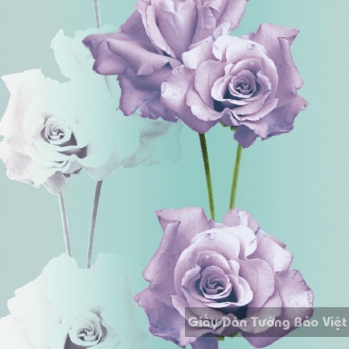 Korean Wallpaper 40031-3