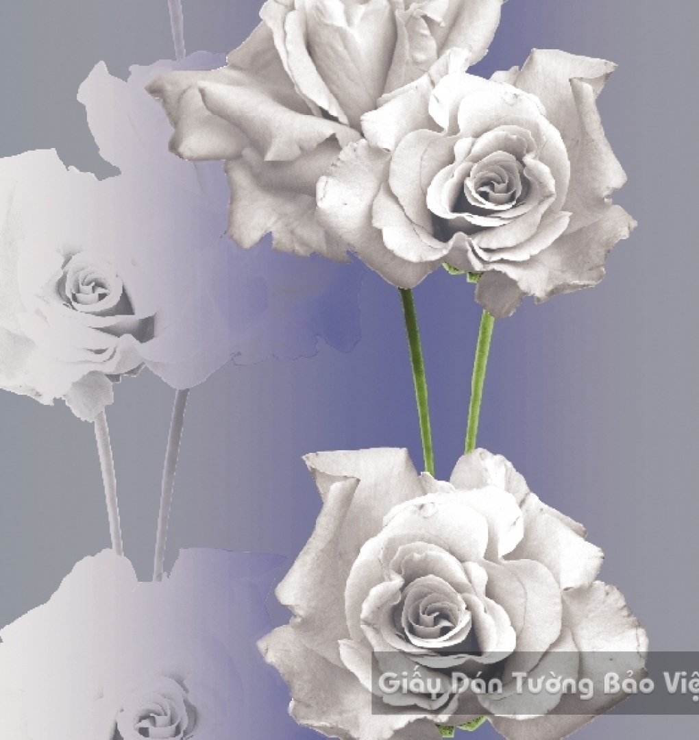 Korean Wallpaper 40031-4