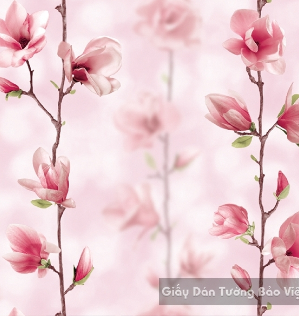 Korean Wallpaper 40032-1