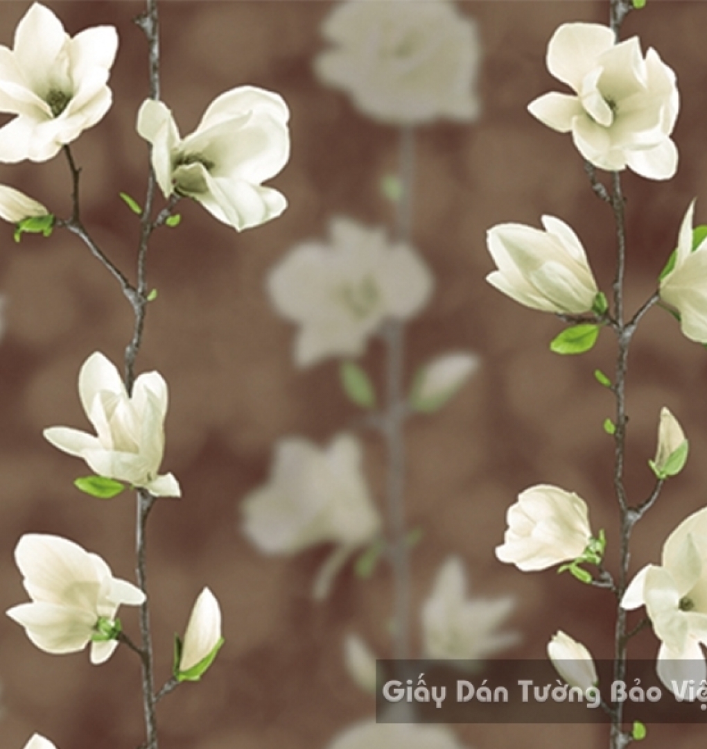 Korean Wallpaper 40032-4