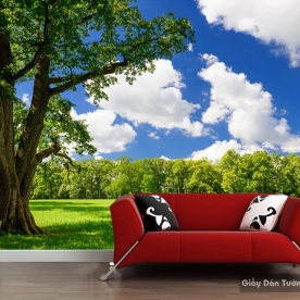 Living room wallpaper 13887260