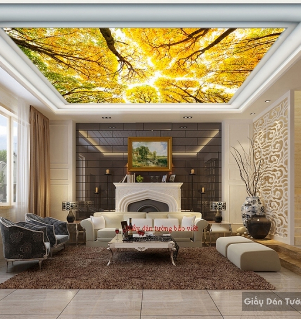 Living room ceiling wallpaper C083