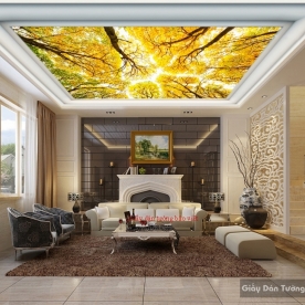 Living room ceiling wallpaper C083