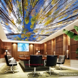 Living room ceiling wallpaper C087