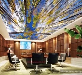 Living room ceiling wallpaper C087