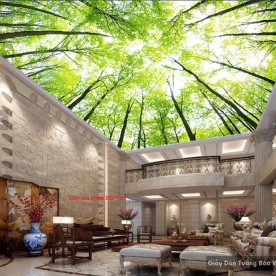 Living room ceiling wallpaper C089