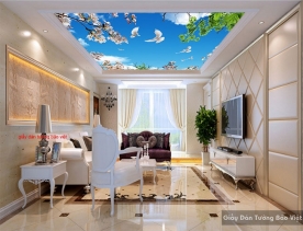 Living room ceiling wallpaper C100