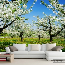 Wallpaper Living Room Tr068