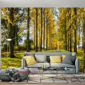 Wallpaper for living room Tr186