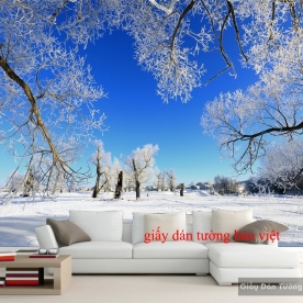 Wallpaper living room Tr129