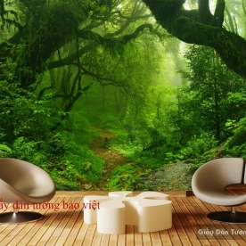 Wallpaper living room Tr136